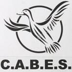 C.A.B.E.S.