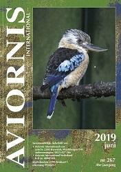 Blauwvleugelkookaburra, / Dacelo leachii