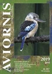 Blauwvleugelkookaburra, /  Dacelo leachii