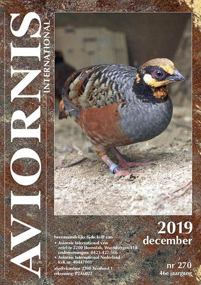 Javaanse bospatrijs, /  Arborophila javanica